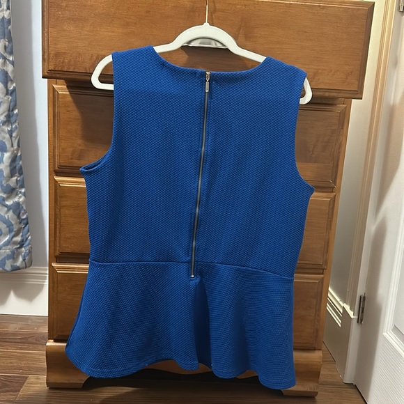 Suzy Sheir pemplum top - Picture 3 of 3